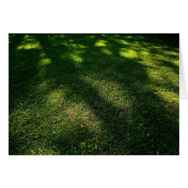 Sun Dappled Rasen (Vorderseite (Horizontal))