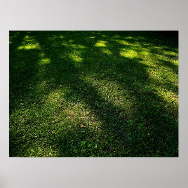 Sun Dappled Rasen Poster (Vorne)