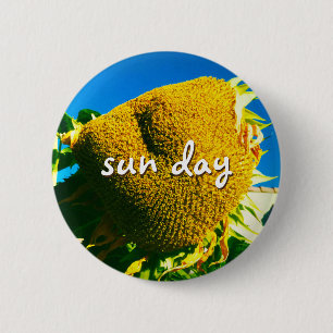 Sun Day Quoting Skript Gelbe Sonnenblumen Foto Button