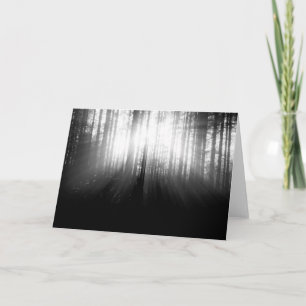 Sun, der durch Bäume im Wald scheint Karte