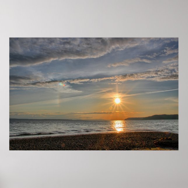 Sun Dog Poster (Vorne)