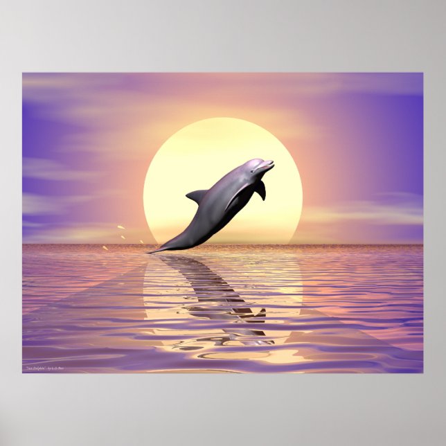 Sun Dolphin Poster (Vorne)