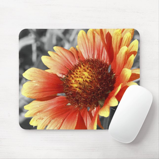 Sun Drenched Gaillardia Mousepad (Mit Mouse)