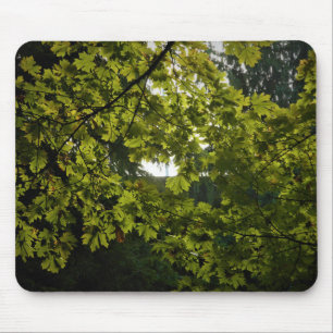 Sun durch grüne Blätter Mousepad