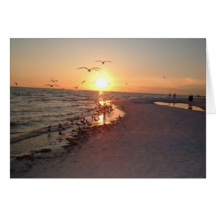 Sun-Einstellung auf Siesta