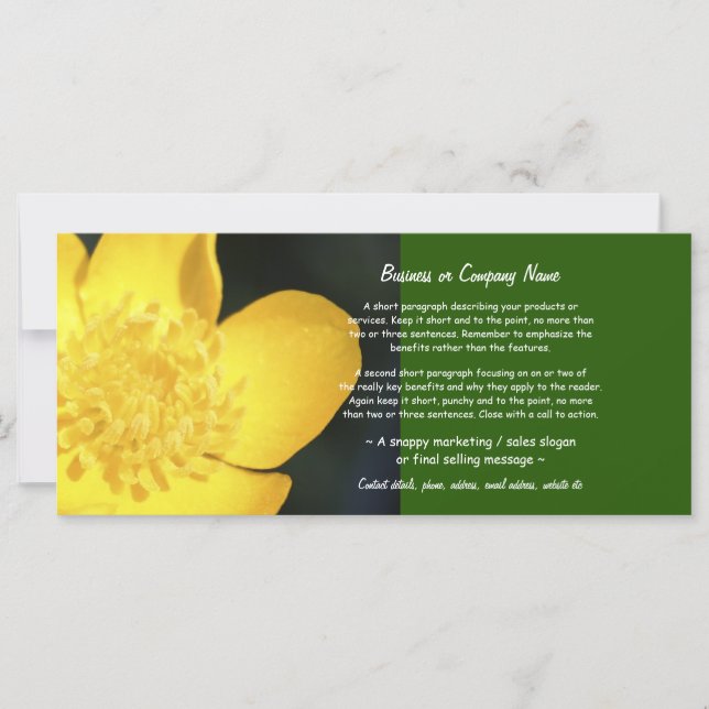 Sun entrenched Golden Buttercup (Vorderseite)