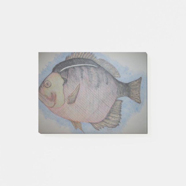 Sun-Fische Post-it Klebezettel (Vorderseite)