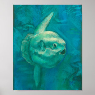 Sun Fish, Mola Mola Ocean Underwater Animes Art P Poster