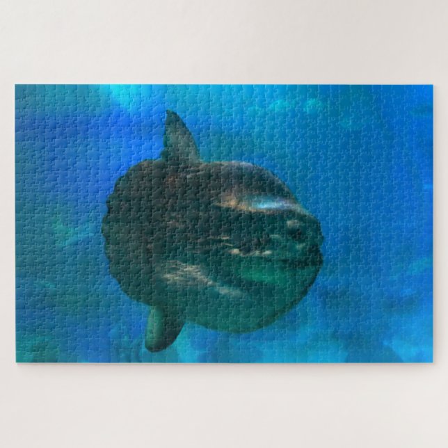 Sun Fish. Puzzle (Horizontal)