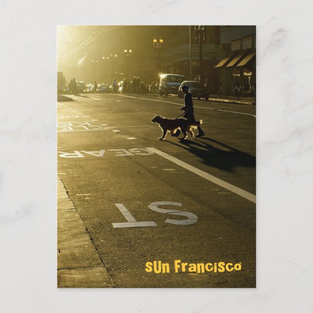 SUN Francisco - 10 Postkarte (Vorderseite)