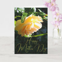 Sun Glow Yellow Rose Happy Mother Day Card