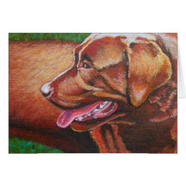 Sun Kissed Chocolate Labrador Retriever