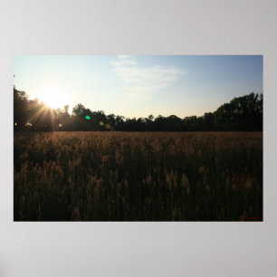 Sun Over Field #4156 Poster