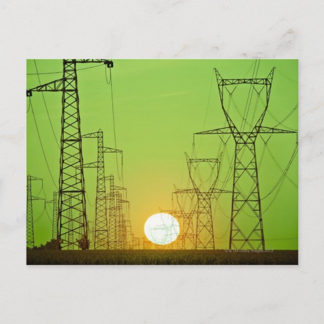 Sun Postkarte (Vorderseite)