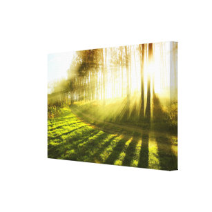 Sun rays das Glänzen durch Bäume auf ein Feld… Leinwanddruck