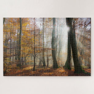 Sun Rays Mystic Misty Forest Puzzle