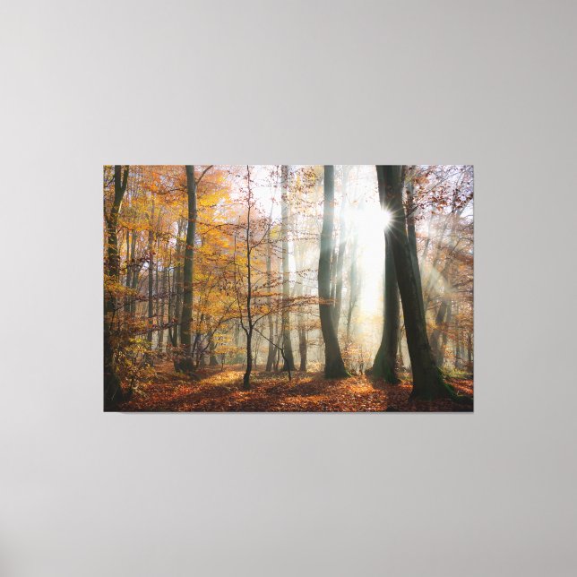 Sun Rays Mystic Misty Forest Wrapped Leinwanddruck (Vorderseite)