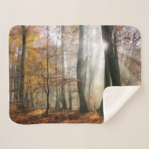 Sun Rays mystisches landschaftliches Sherpadecke