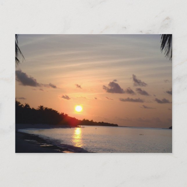 Sun Set Postkarte (Vorderseite)
