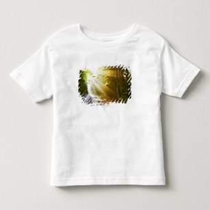 Sun-Strahlen durch Wald im Acadia-Nationalpark Kleinkind T-shirt