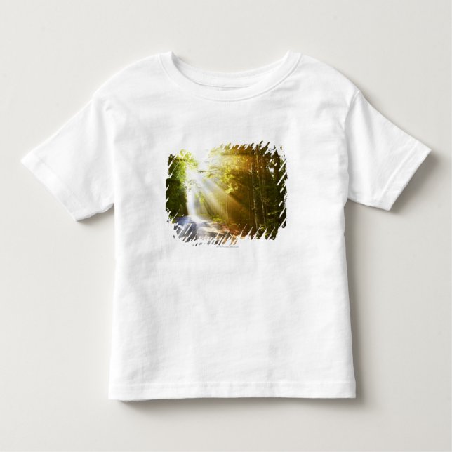 Sun-Strahlen durch Wald im Acadia-Nationalpark Kleinkind T-shirt (Vorderseite)