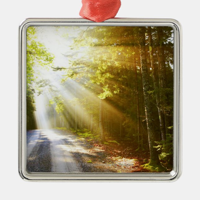 Sun-Strahlen durch Wald im Acadia-Nationalpark Silbernes Ornament (Vorne)
