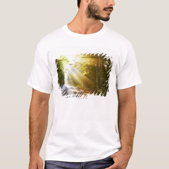 Sun-Strahlen durch Wald im Acadia-Nationalpark T-Shirt (Vorderseite)