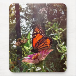 Sun Stream auf dem Monarch auf der Blume Mousepad