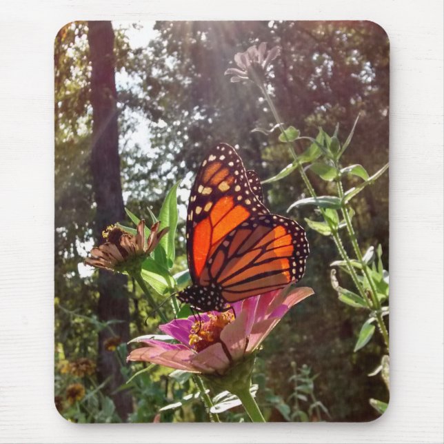Sun Stream auf dem Monarch auf der Blume Mousepad (Vorne)