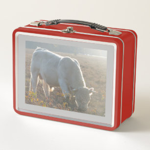 Sun Surround White Cow Lunchbox