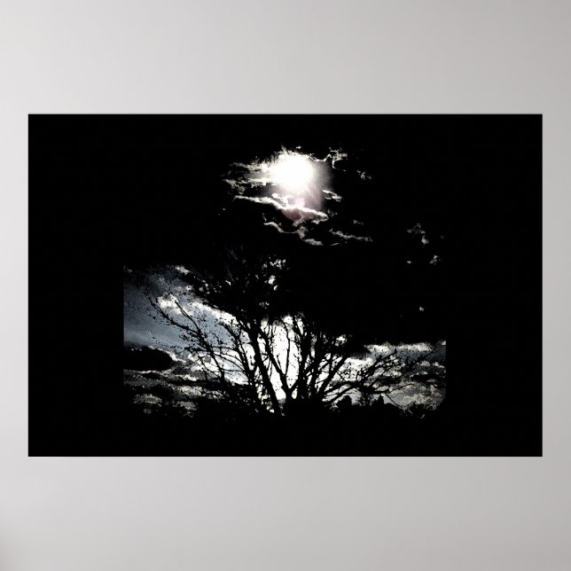 Sun thru Trees B&W Poster (Vorne)