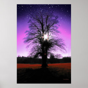 Sun Tree Stars drucken Poster