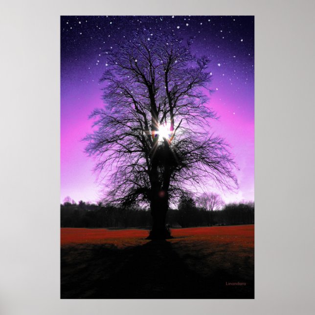 Sun Tree Stars drucken Poster (Vorne)