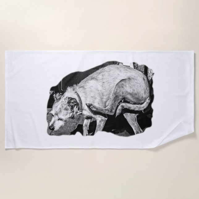 Sun und Terrier Scratches Strandtuch (Vorderseite)