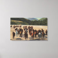 Sun Valley, ID - Wild Horse Roundup