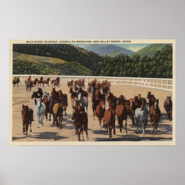 Sun Valley, ID - Wild Horse Roundup Poster (Vorne)