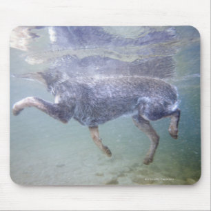 Sun Valley, Idaho, USA. Mousepad