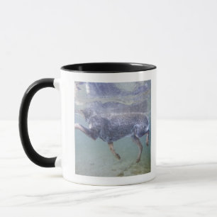 Sun Valley, Idaho, USA Tasse
