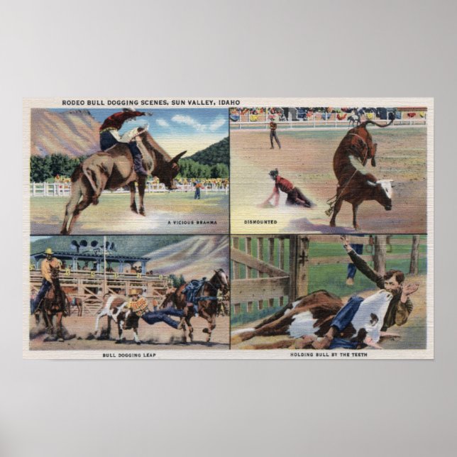Sun Valley, IDRodeo Bull Dogging Scenes Poster (Vorne)