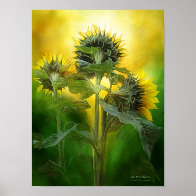Sun Worshipers Art Poster/Print Poster (Vorne)