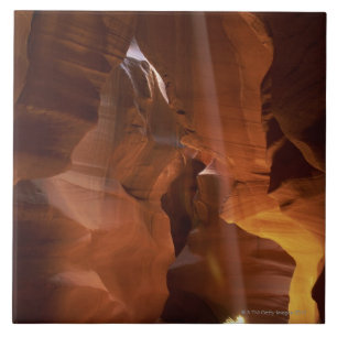 Sunbeam, der Tumbleweed auf Schluchtboden schlägt Fliese