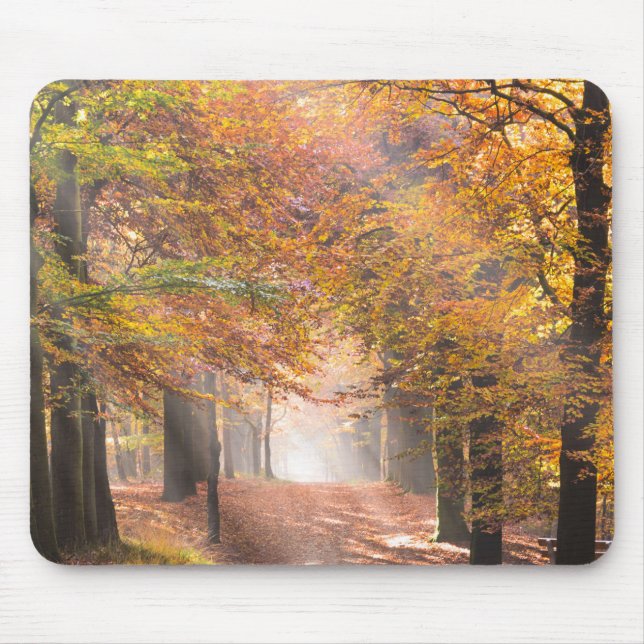 Sunbeams in einem Herbstwaldmousepad Mousepad (Vorne)