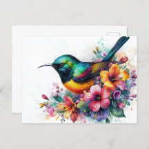 Sunbird Watercolor Art
