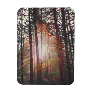 Sunburst 2010 magnet