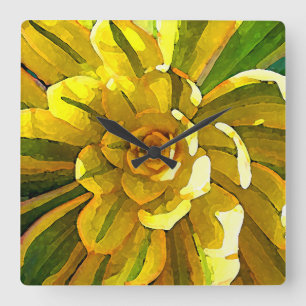 Sunburst Aeonium Succulent Square by Amy Vangsgard Quadratische Wanduhr