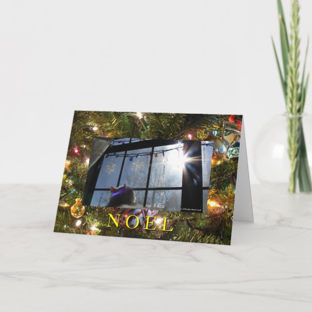 Sunburst Cat 2/ Weihnachten (Vorderseite)