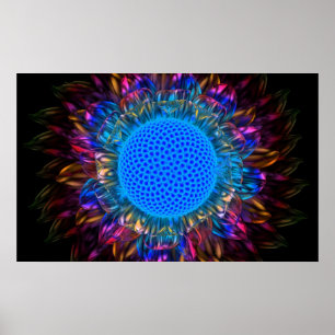 Sunburst Daisy (invertiert) Poster