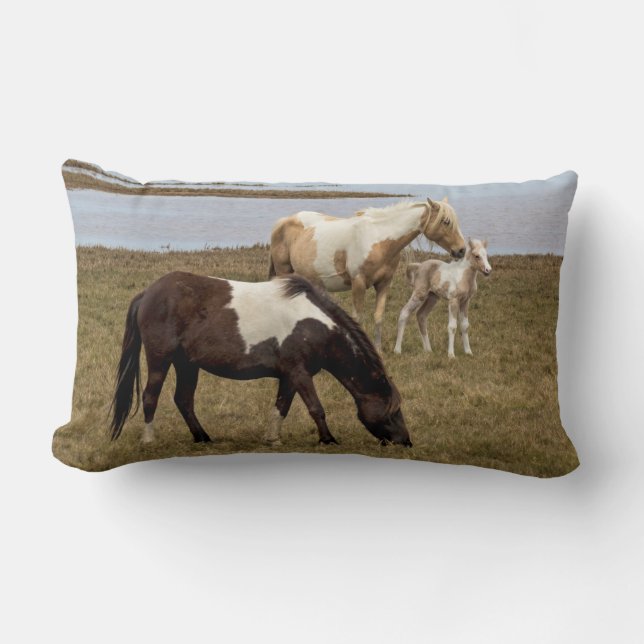 Sunburst Throw Kissen (Vorderseite)