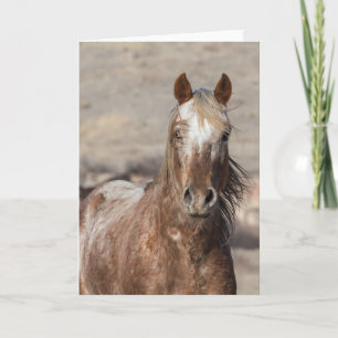 Sundance - Galloping to Freedom Greeting Card Karte