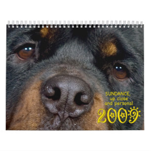 Sundance: Herauf nahes und persönliches Kalender